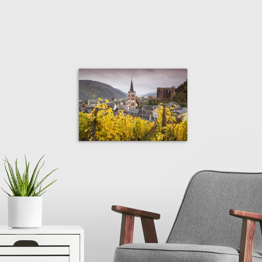 A modern room featuring Germany, Rhineland-Pfalz, Bacharach, elevated town view in autumn.
