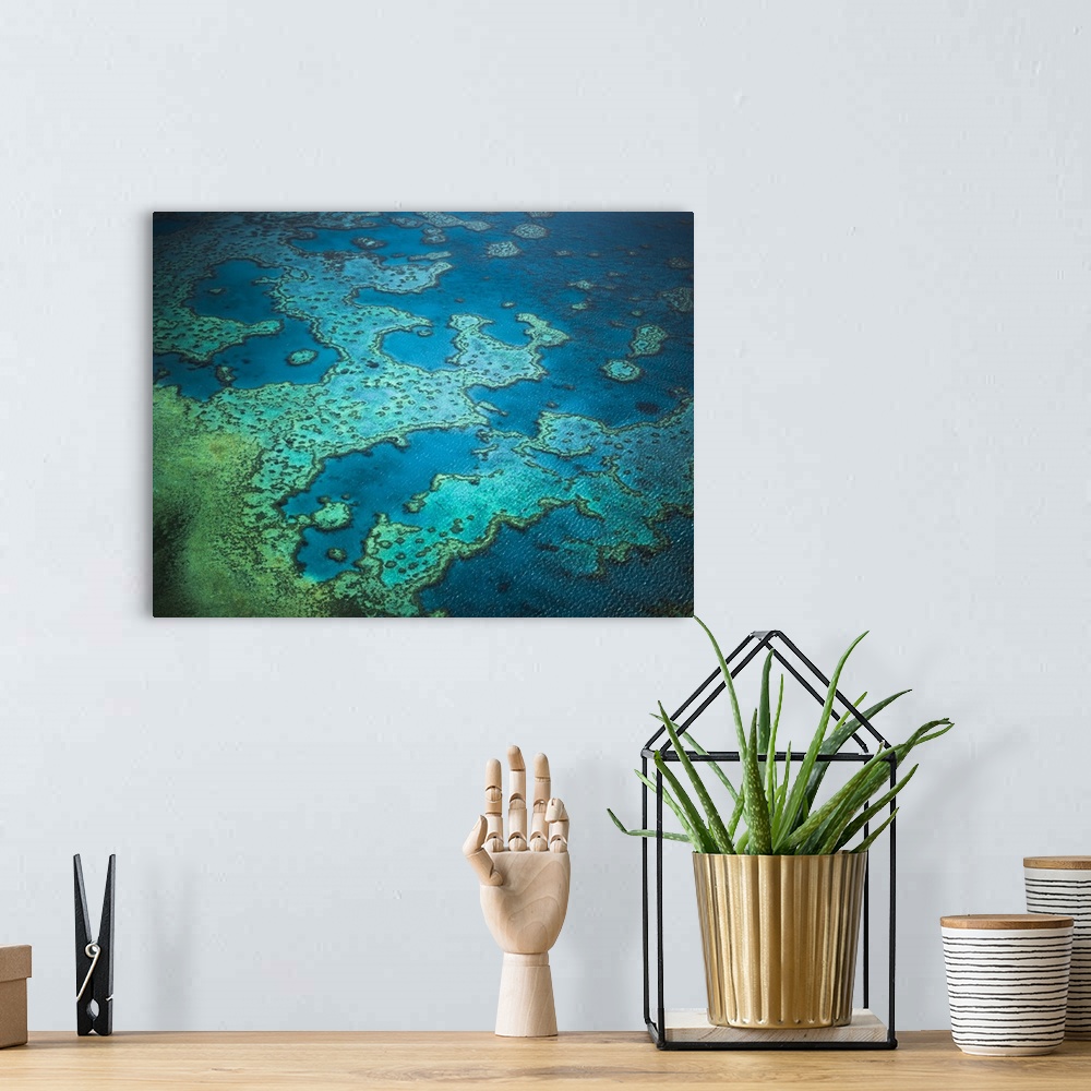 A bohemian room featuring Great Barrier Reef, Queensland, Australia