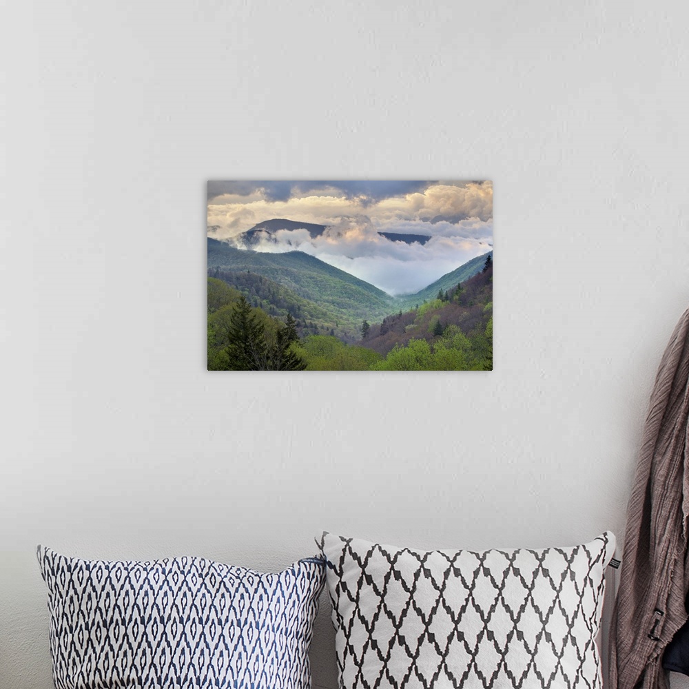 A bohemian room featuring Clouds in Oconaluftee Valley at sunrise, Great Smoky Mountains National Park, North Carolina