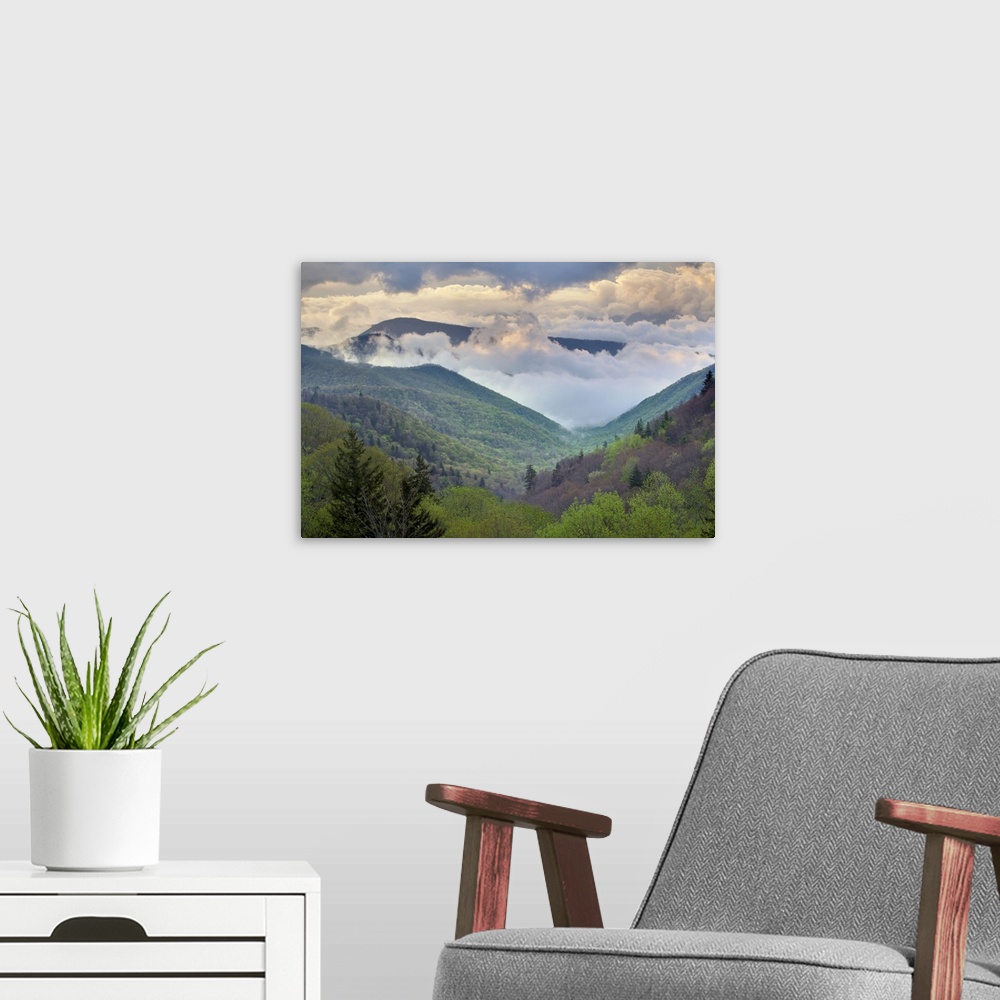 A modern room featuring Clouds in Oconaluftee Valley at sunrise, Great Smoky Mountains National Park, North Carolina