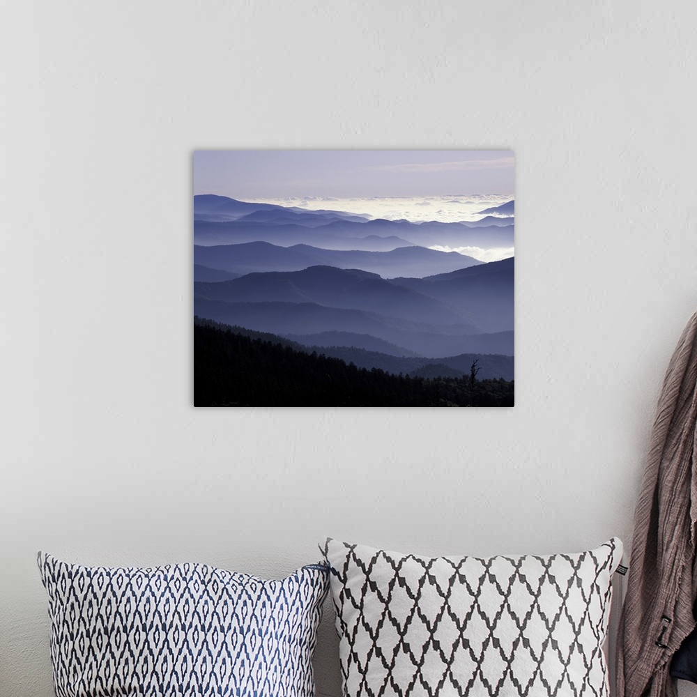 A bohemian room featuring Tennessee, Great Smoky Mountains National Park, Southern Appalachian Mountains at dawn.