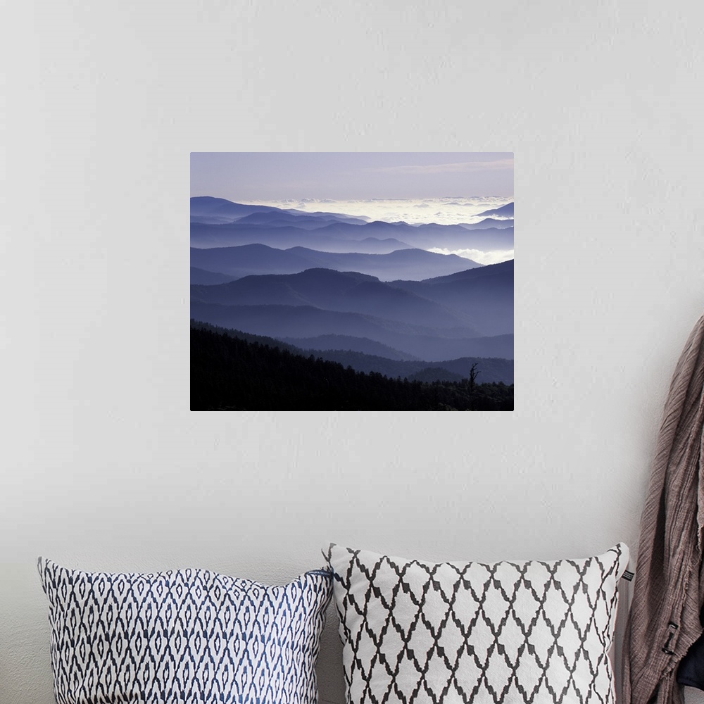 A bohemian room featuring Tennessee, Great Smoky Mountains National Park, Southern Appalachian Mountains at dawn.