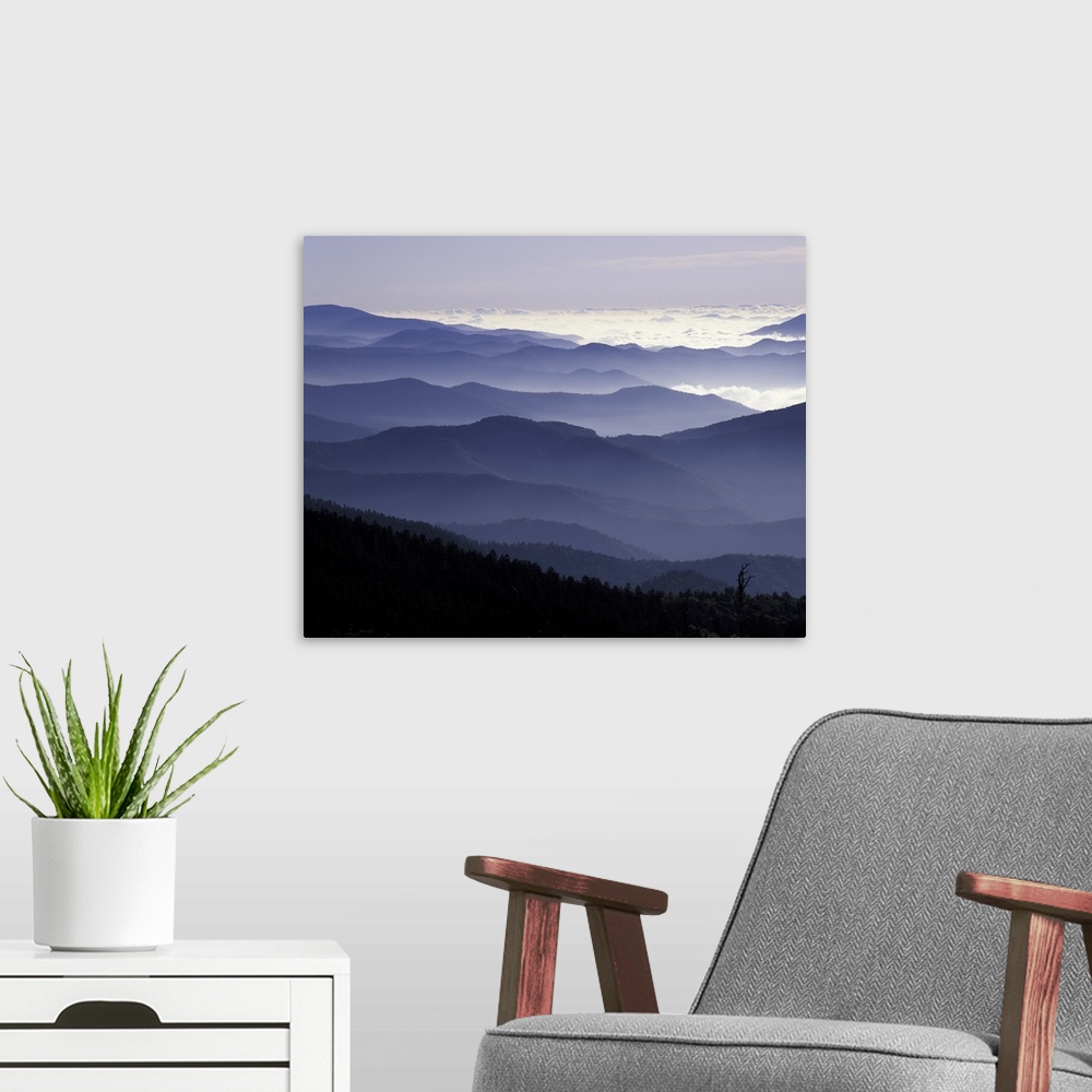 A modern room featuring Tennessee, Great Smoky Mountains National Park, Southern Appalachian Mountains at dawn.