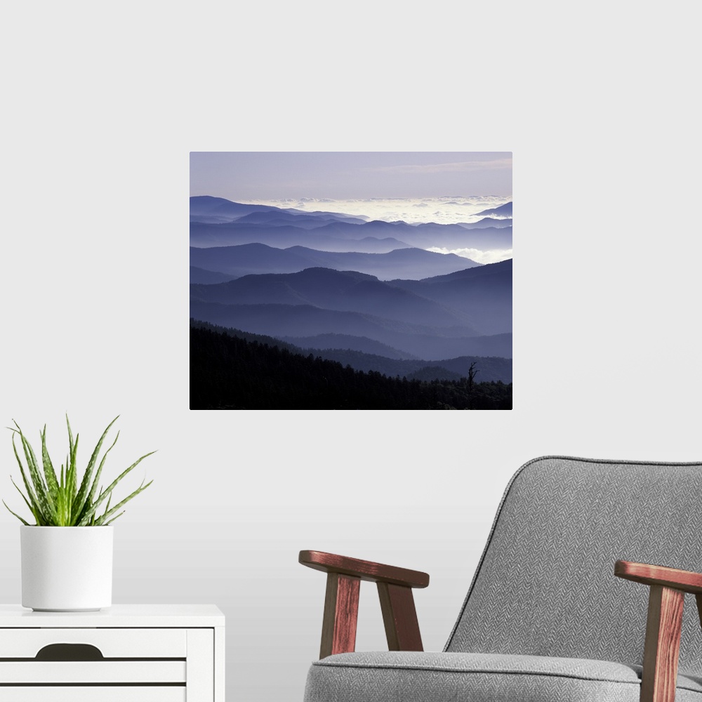 A modern room featuring Tennessee, Great Smoky Mountains National Park, Southern Appalachian Mountains at dawn.