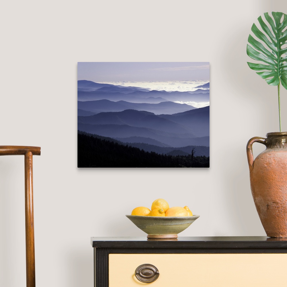A traditional room featuring Tennessee, Great Smoky Mountains National Park, Southern Appalachian Mountains at dawn.