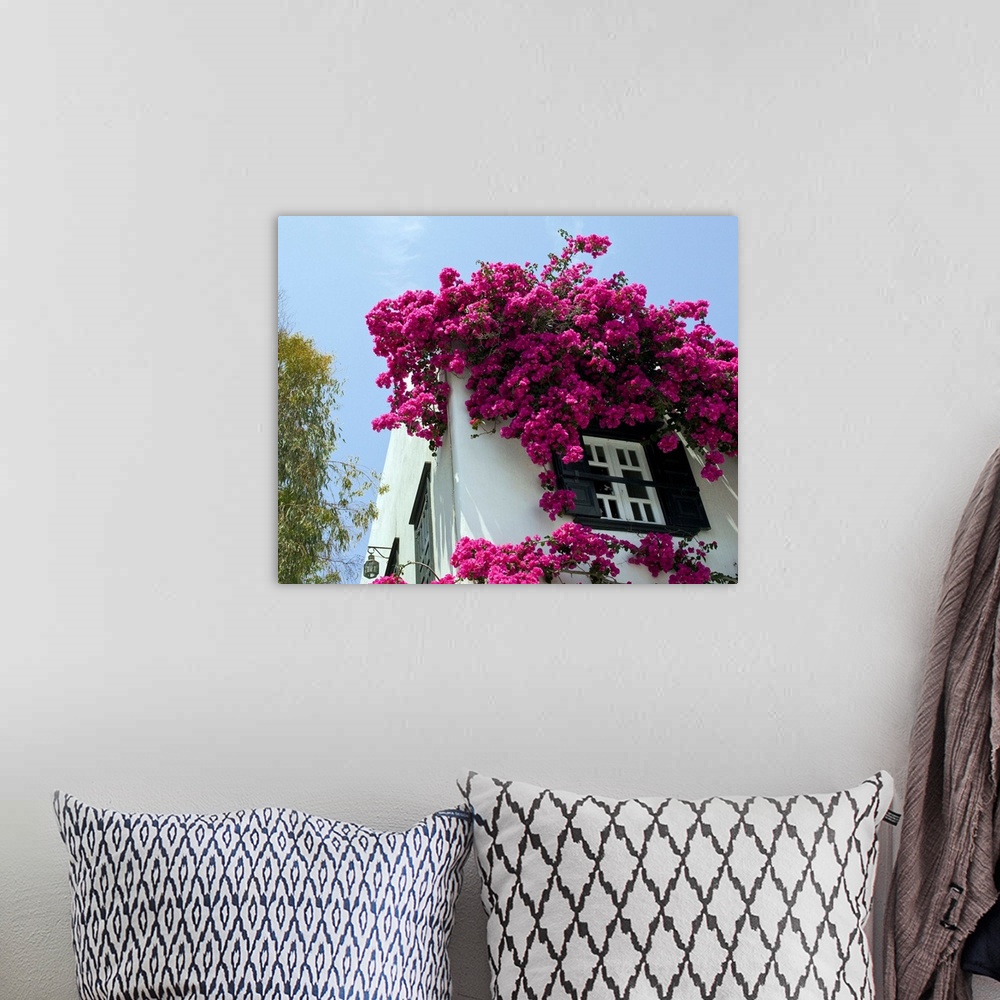 A bohemian room featuring Europe, Greece, Mykonos, Hora. Bouganvillea flowing from roof of building.