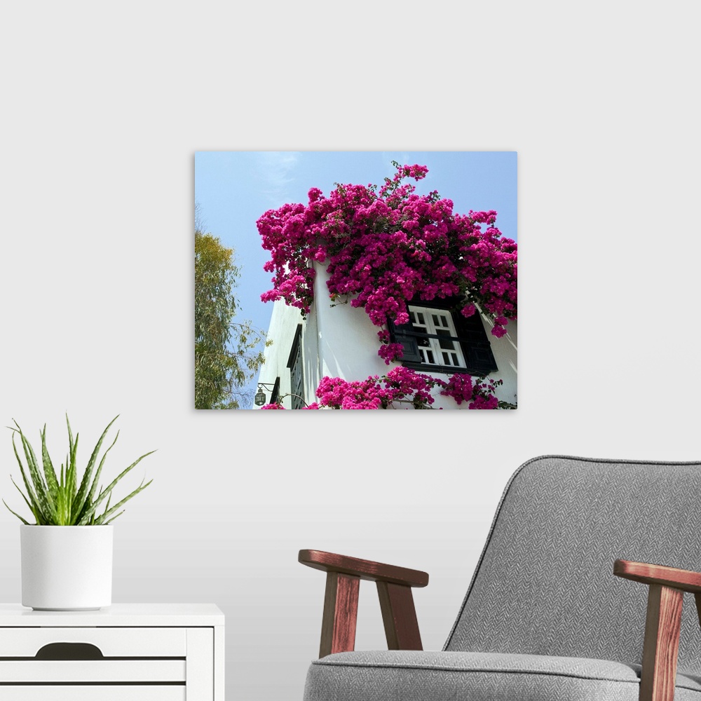 A modern room featuring Europe, Greece, Mykonos, Hora. Bouganvillea flowing from roof of building.