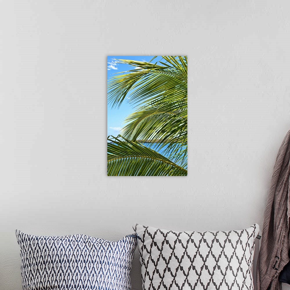 A bohemian room featuring Grenada. Palm trees on beach.