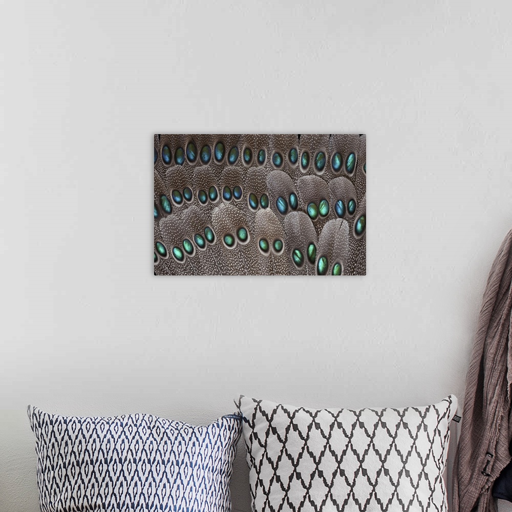 A bohemian room featuring Grey Peacock tail feathers fanned out with duo spots each.