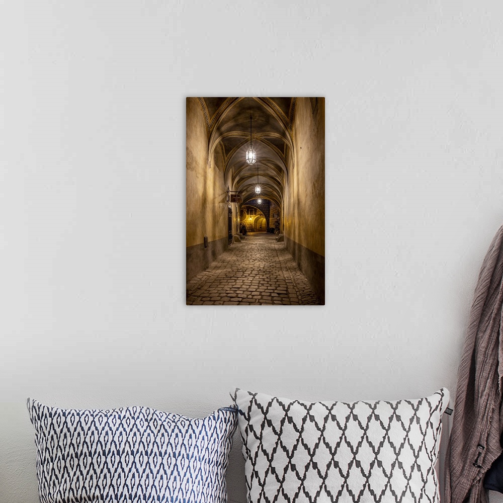 A bohemian room featuring Hallway at Cesky Krumlov Castle in the Czech Republic.