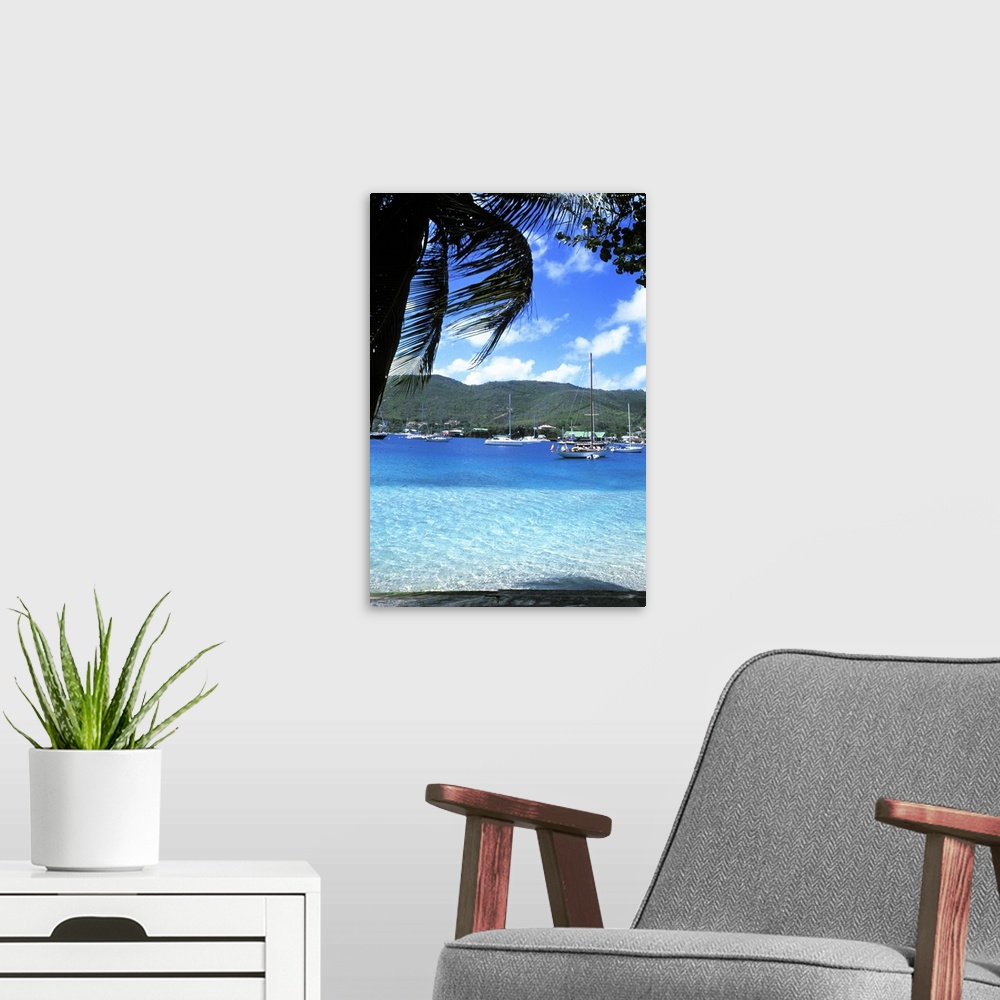A modern room featuring Harbor, palms, blue water at Port Elizabeth in Bequia, Grenadines.