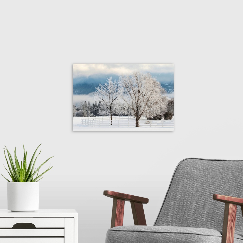A modern room featuring Heavy frost on trees, Kalispell, Montana-