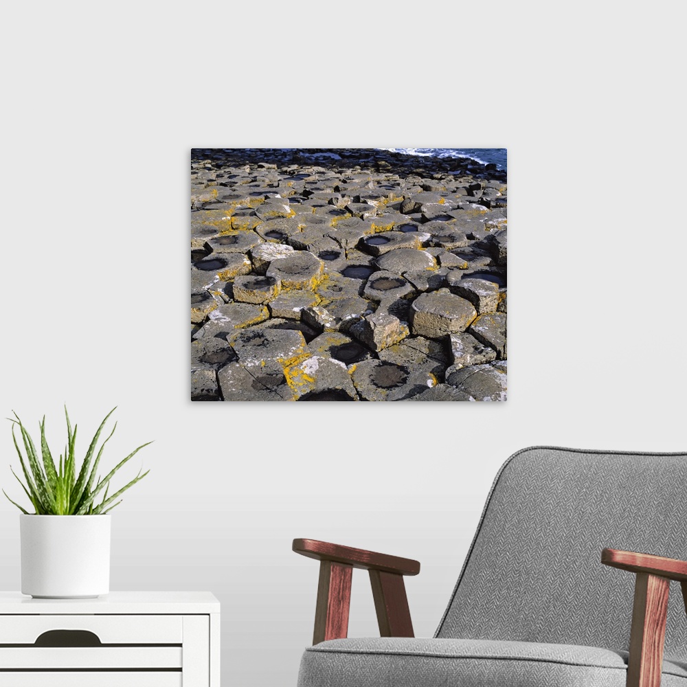 A modern room featuring Northern Ireland, County Antrim, Giant's Causeway. Hexagonal shapes create a puzzle of these basa...