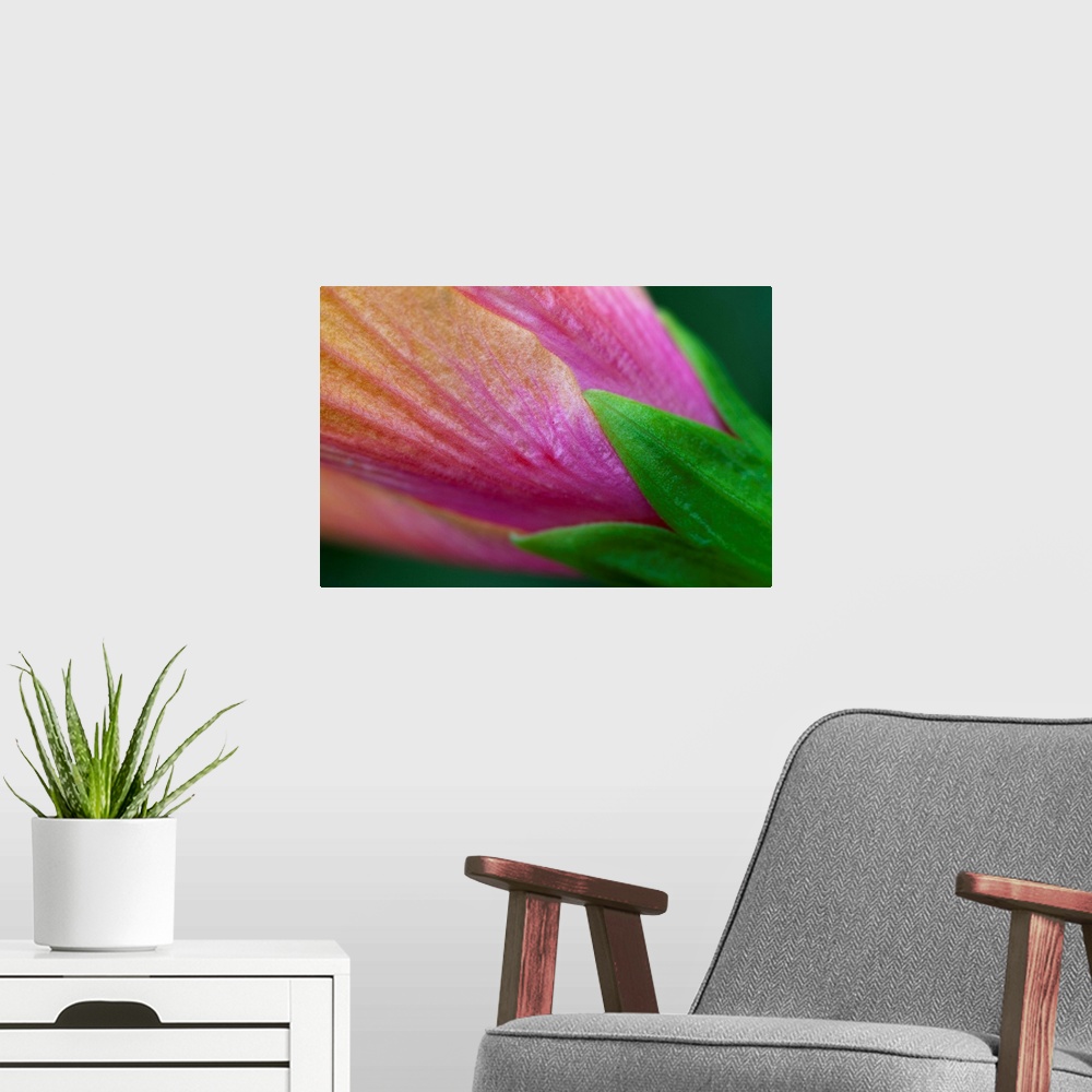 A modern room featuring Hibiscus petal, sepal and calyx detail - Maui, Hawaii