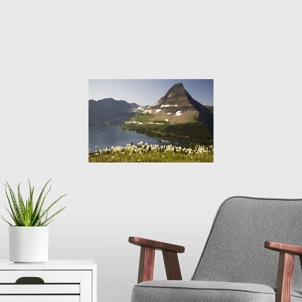 A modern room featuring MT, Glacier National Park, Logan Pass, Hidden Lake and Bearhat Mountain with beargrass