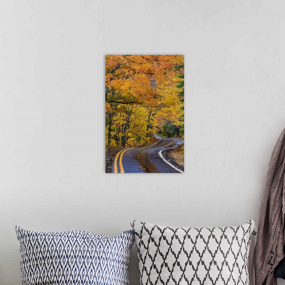 A bohemian room featuring USA, North America, Michigan. Highway 41 Covered Roadway In Autumn Near Copper Harbor In The Uppe...