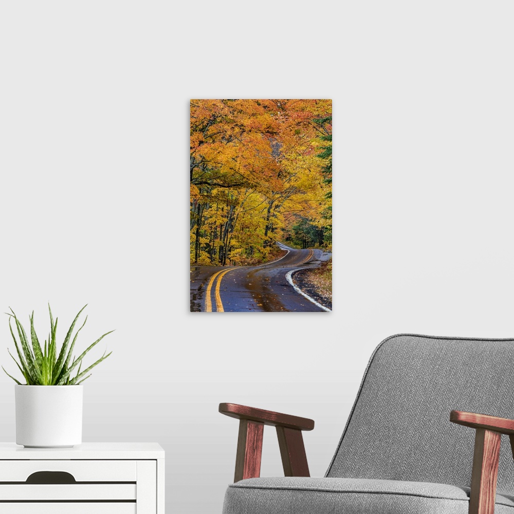 A modern room featuring USA, North America, Michigan. Highway 41 Covered Roadway In Autumn Near Copper Harbor In The Uppe...