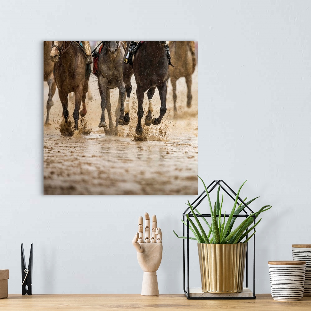 A bohemian room featuring Horse racing on a muddy track