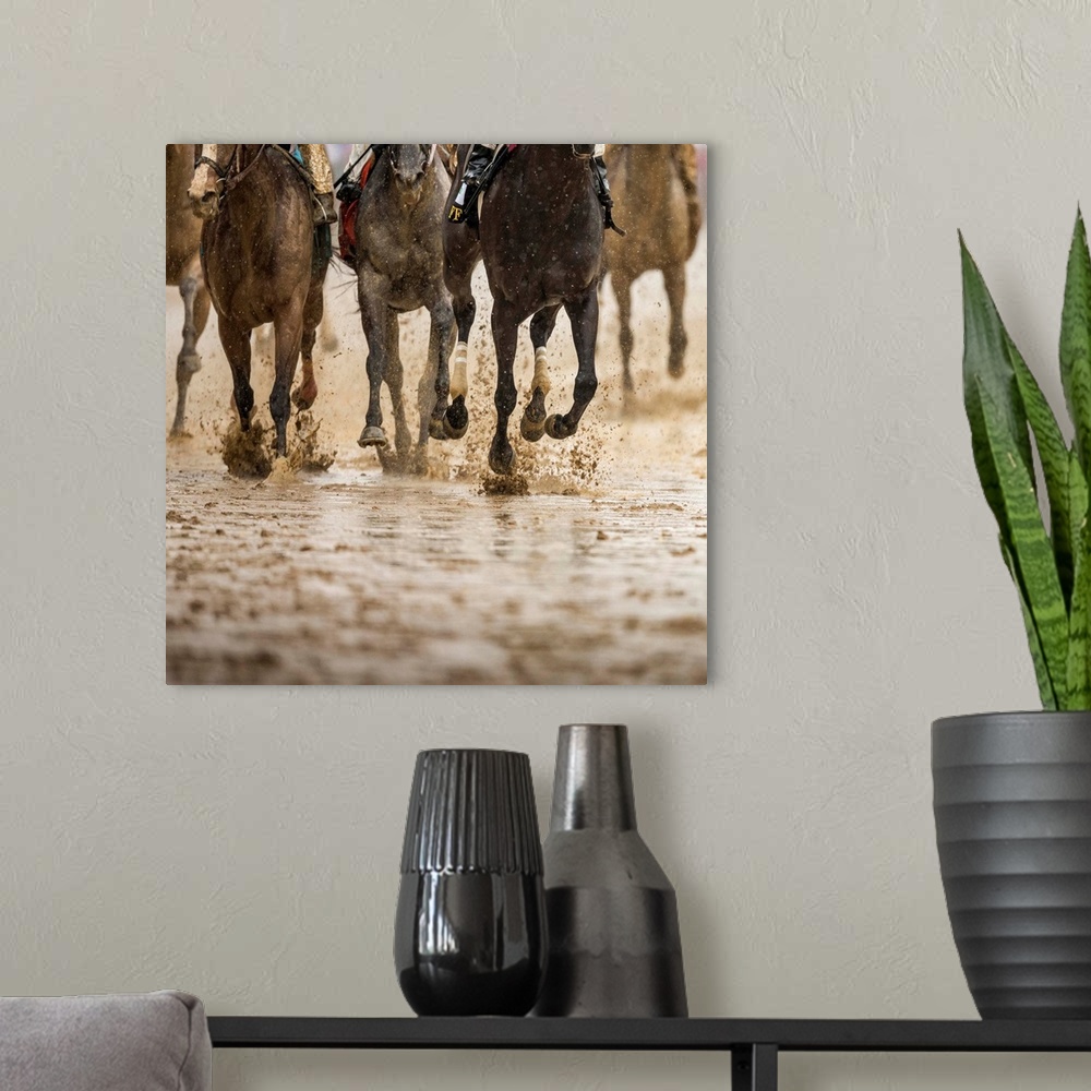 A modern room featuring Horse racing on a muddy track