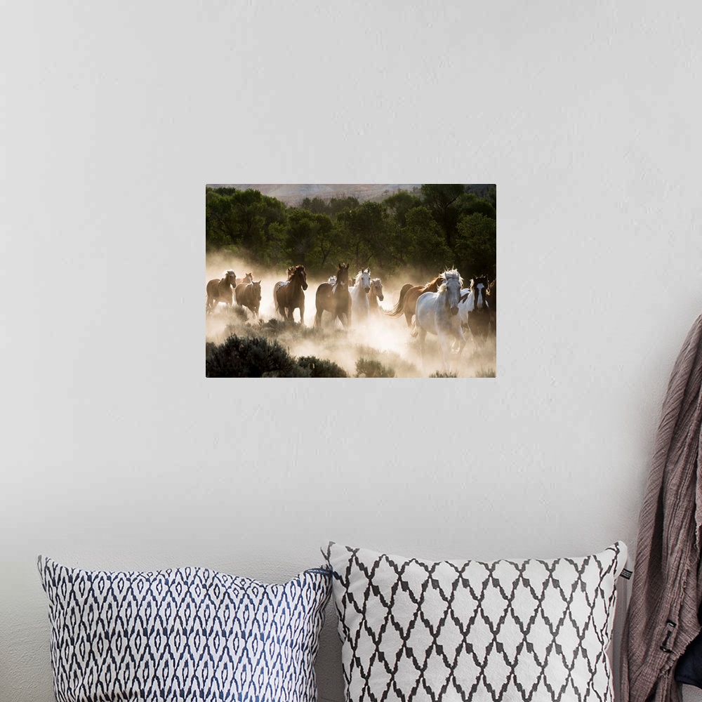 A bohemian room featuring Horses running, kicking up dust at sunrise