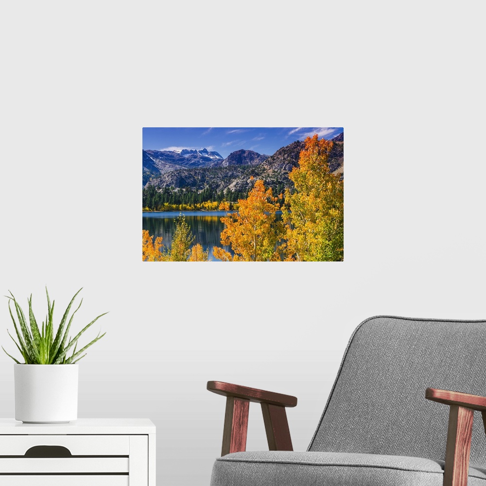 A modern room featuring Golden fall aspen at June Lake, Inyo National Forest, Sierra Nevada Mountains, California