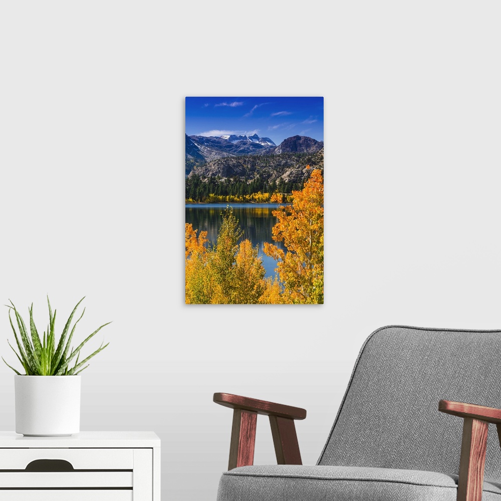 A modern room featuring Golden fall aspen at June Lake, Inyo National Forest, Sierra Nevada Mountains, California USA