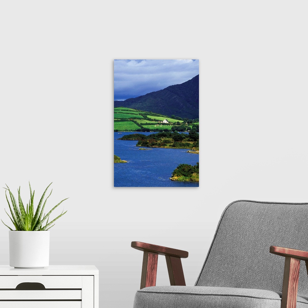 A modern room featuring Europe, Ireland, County Cork, Beara Peninsula. Ardgroom Harbor