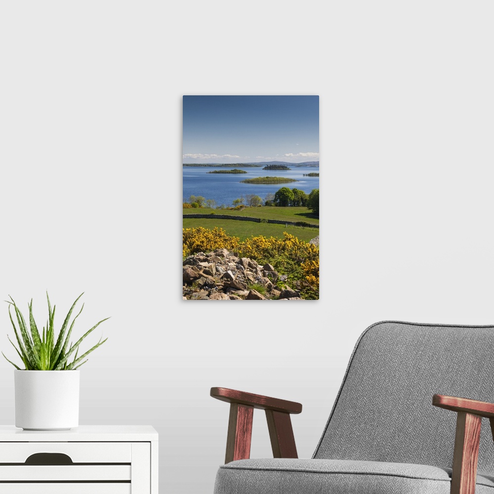 A modern room featuring Ireland, County Galway, Cong, elevated springtime landscape.