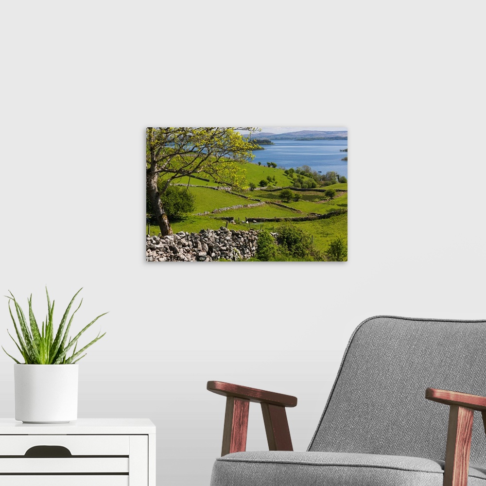 A modern room featuring Ireland, County Galway, Cong, elevated springtime landscape.