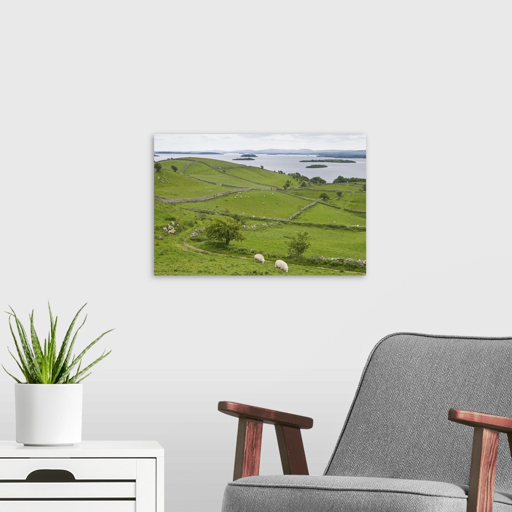 A modern room featuring Ireland, County Mayo, Lough Carrib.