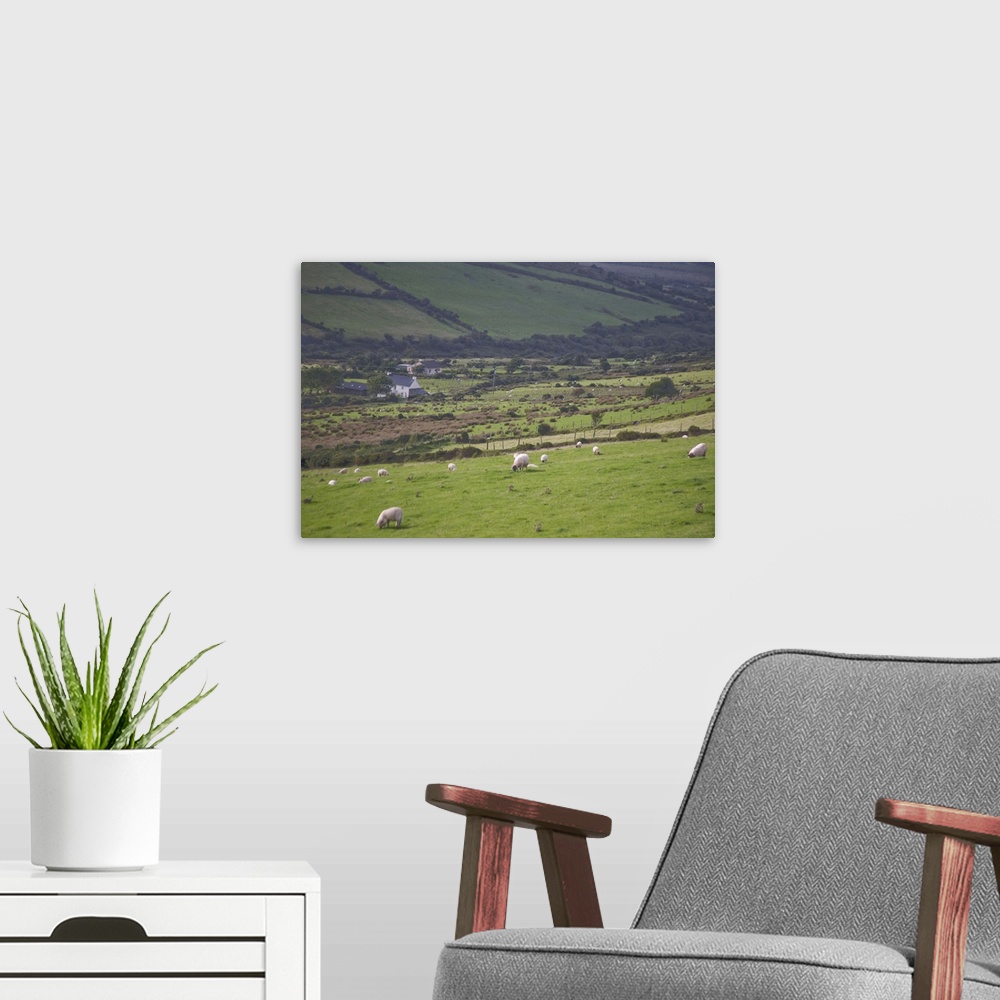 A modern room featuring Irish Countryside, Ireland, Castle, Stone fence
