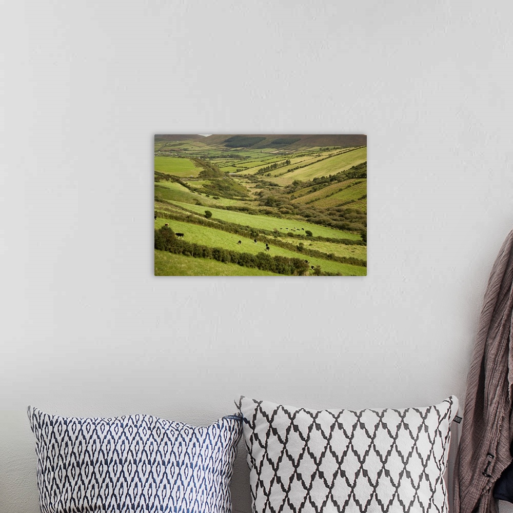 A bohemian room featuring Irish Countryside, Ireland, Farms, Landscape, Scenic, Fences