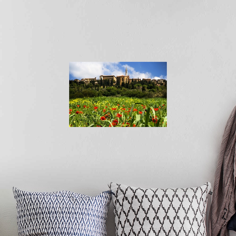 A bohemian room featuring Europe, Italy, Pienza. Poppies bloom below the hilltop village of Pienza.