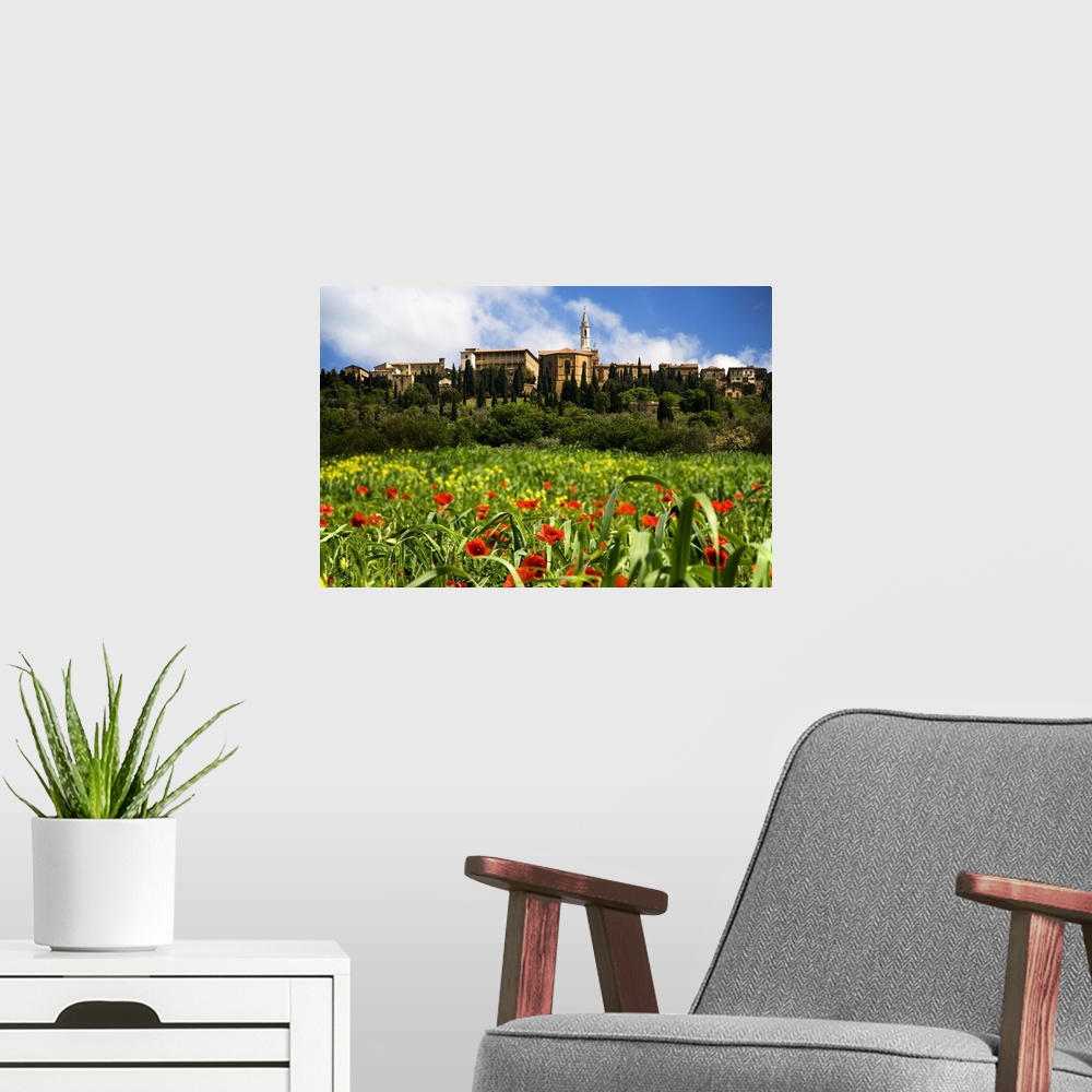 A modern room featuring Europe, Italy, Pienza. Poppies bloom below the hilltop village of Pienza.