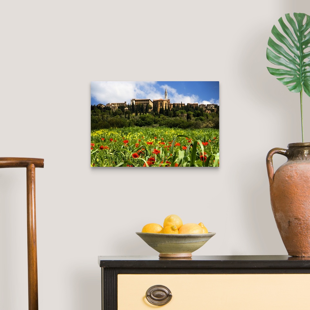 A traditional room featuring Europe, Italy, Pienza. Poppies bloom below the hilltop village of Pienza.