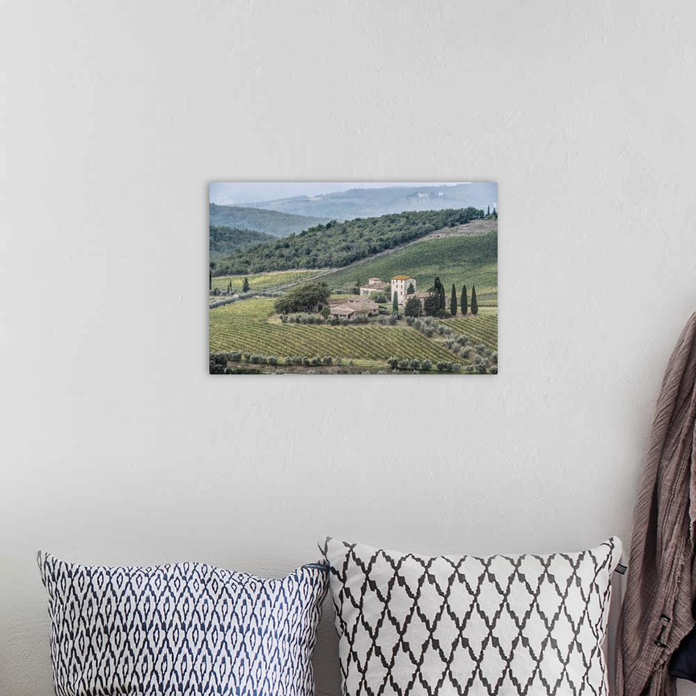 A bohemian room featuring Italy, Tuscany, Chianti, near Gaiole in Chianti, Vineyard.