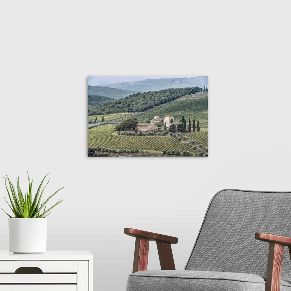 A modern room featuring Italy, Tuscany, Chianti, near Gaiole in Chianti, Vineyard.