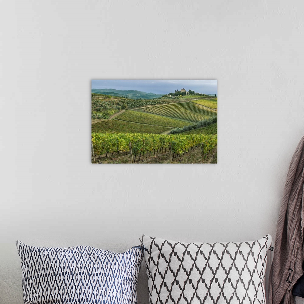 A bohemian room featuring Italy, Tuscany, Chianti, Vineyard near Radda in Chianti.