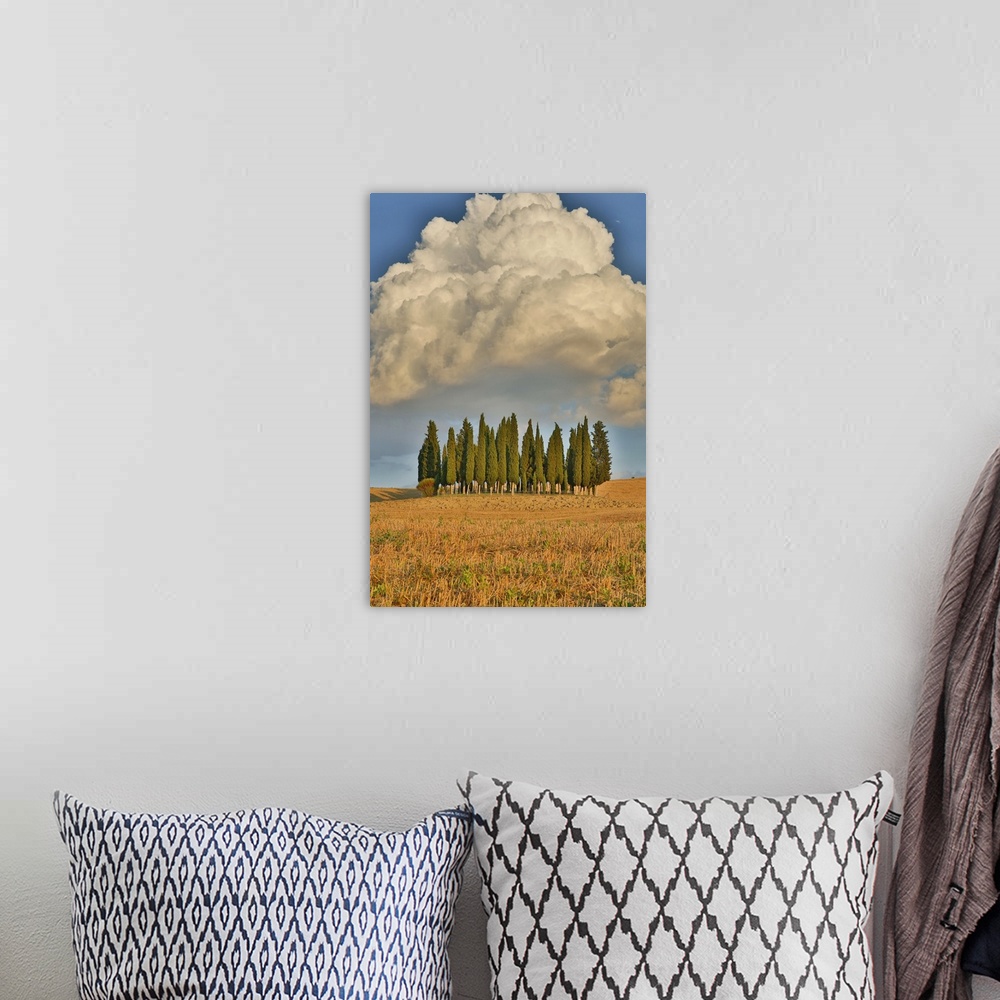 A bohemian room featuring Italy, Tuscany. Cypress tree grove and towering cloud formation.