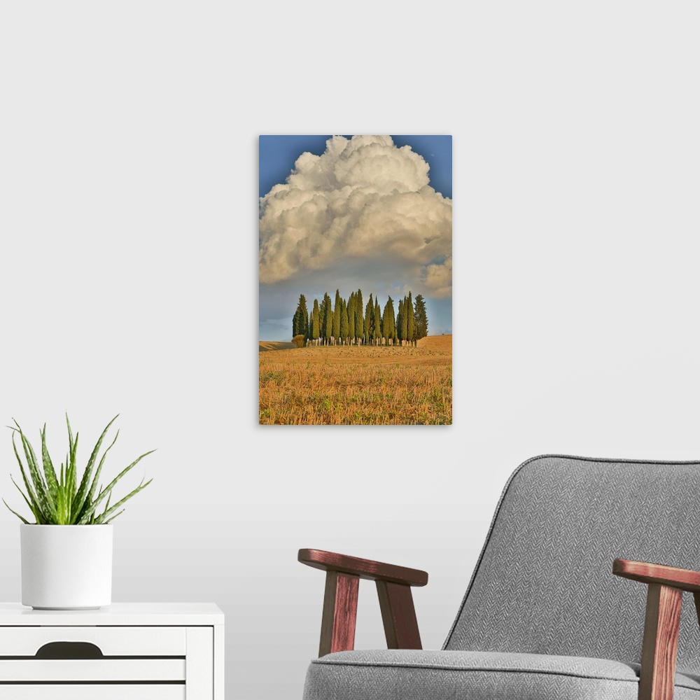 A modern room featuring Italy, Tuscany. Cypress tree grove and towering cloud formation.