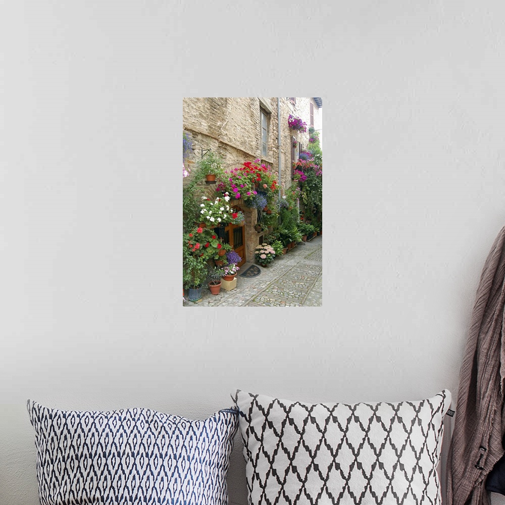 A bohemian room featuring Italy, Umbria, Spello. Flowers adorn the narrow cobblestone streets (MR)