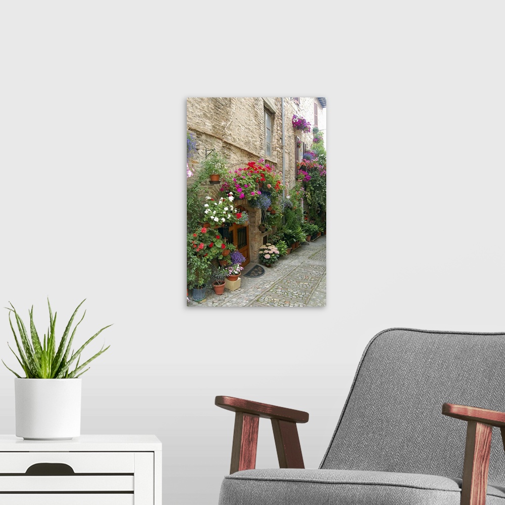 A modern room featuring Italy, Umbria, Spello. Flowers adorn the narrow cobblestone streets (MR)
