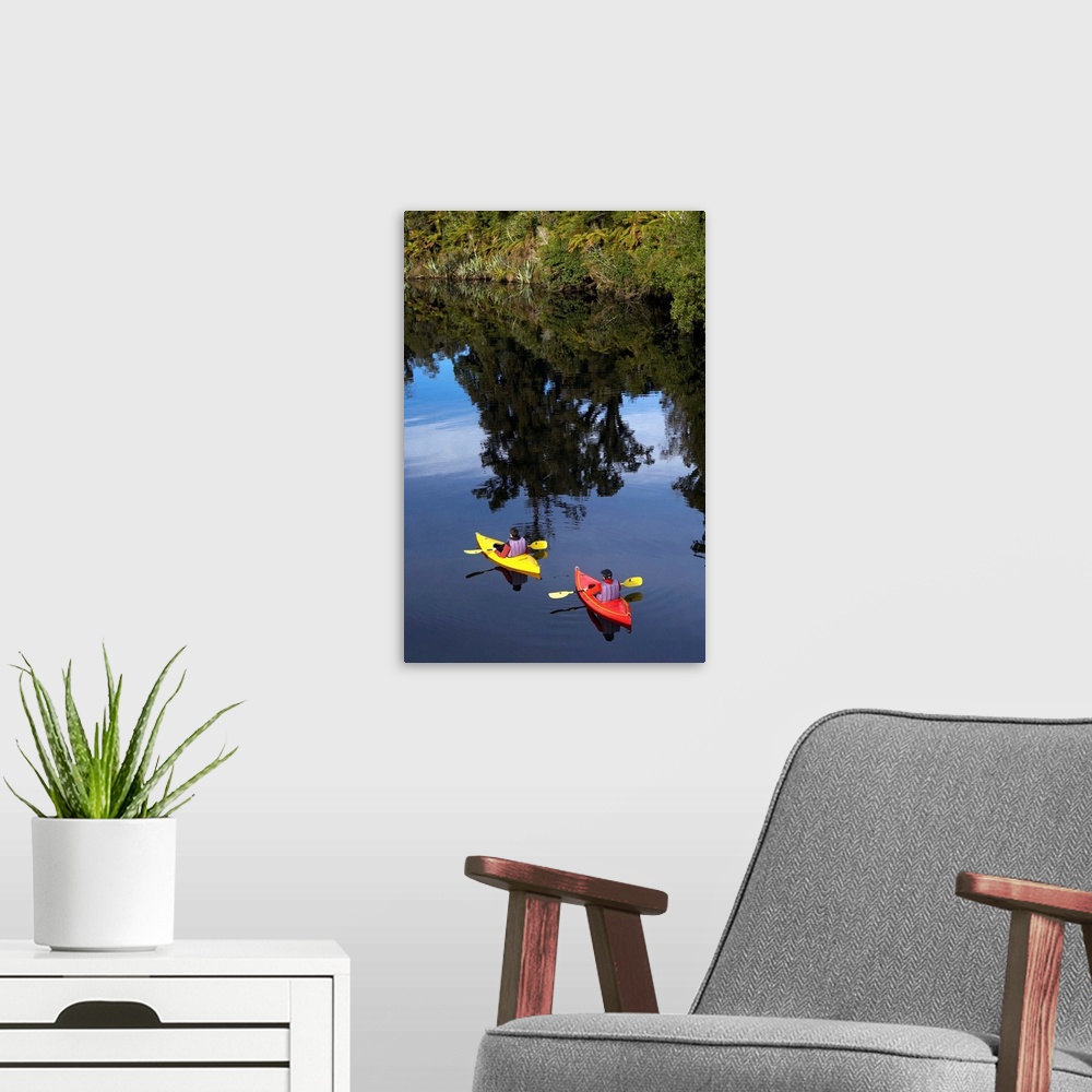 A modern room featuring Kayaks, Moeraki River by Lake Moeraki, West Coast, South Island, New Zealand