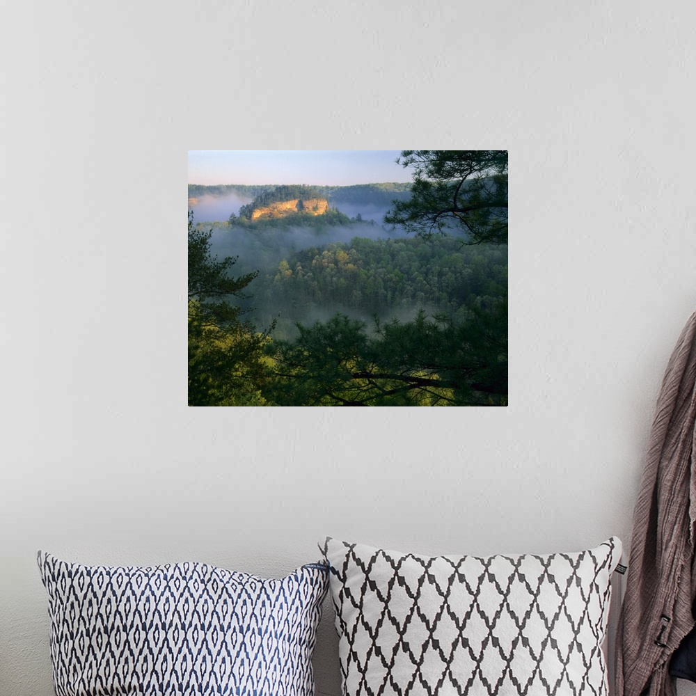 A bohemian room featuring KENTUCKY. USA. Fog at sunrise, Red River Gorge. Daniel Boone National Forest.