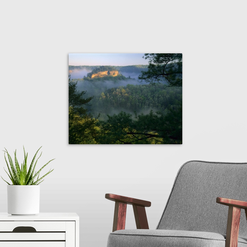 A modern room featuring KENTUCKY. USA. Fog at sunrise, Red River Gorge. Daniel Boone National Forest.