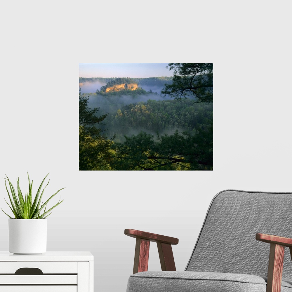 A modern room featuring KENTUCKY. USA. Fog at sunrise, Red River Gorge. Daniel Boone National Forest.