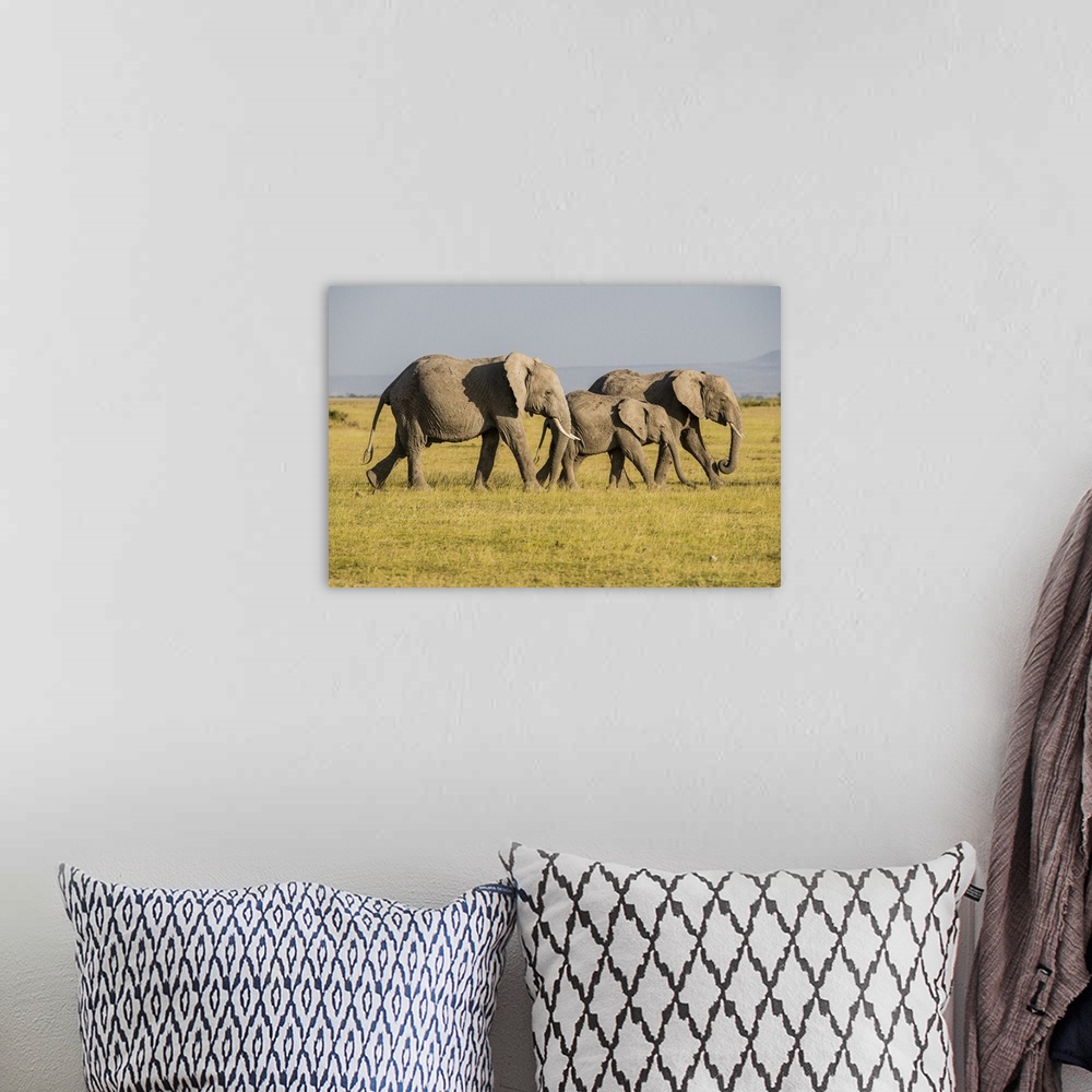 A bohemian room featuring Africa, Kenya, Amboseli National Park, elephant.