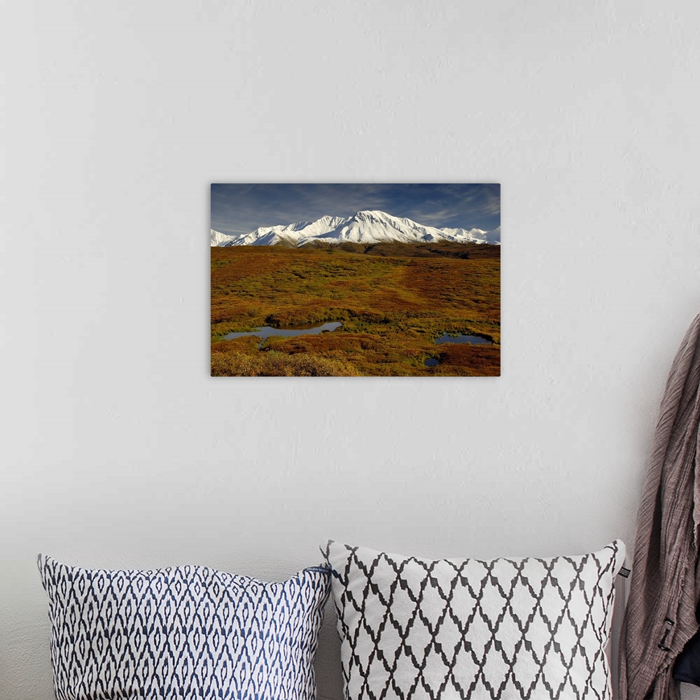 A bohemian room featuring Kettle ponds and tundra in fall foilage front snow-capped peaks in the Alaska Range.