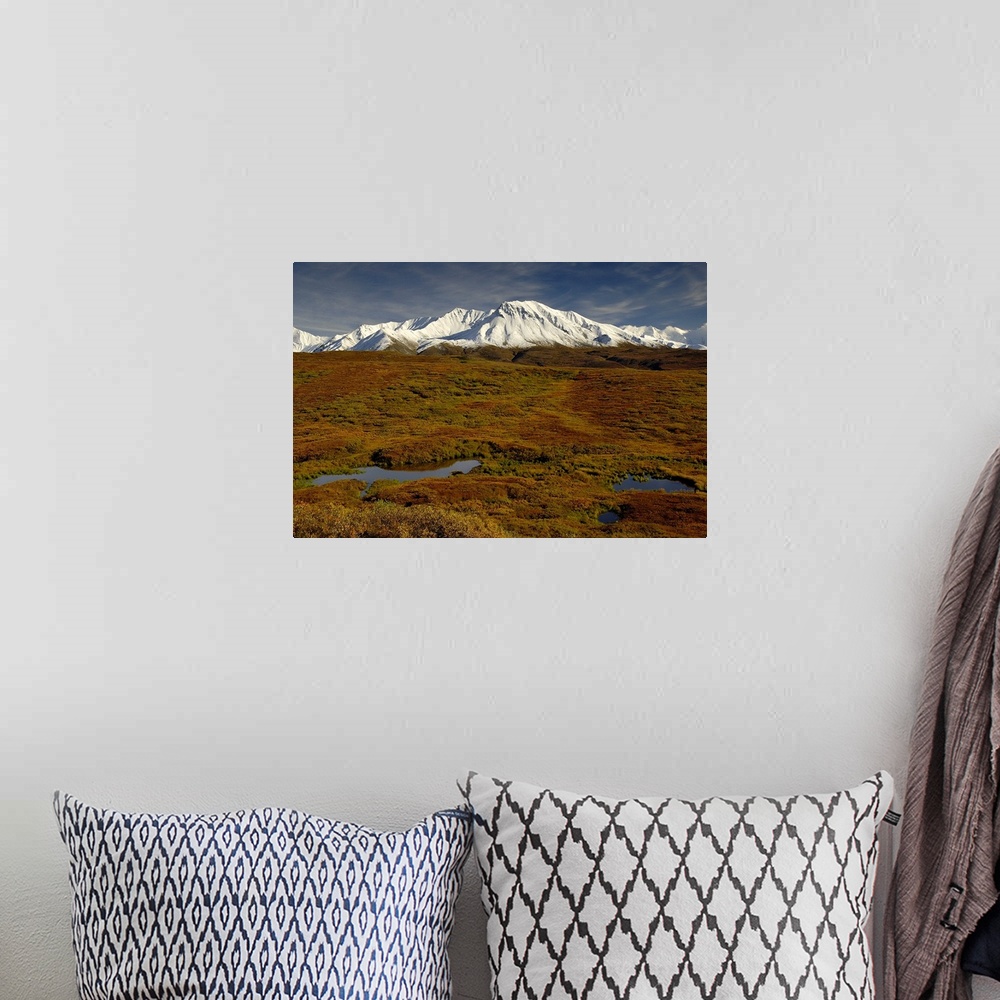 A bohemian room featuring Kettle ponds and tundra in fall foilage front snow-capped peaks in the Alaska Range.