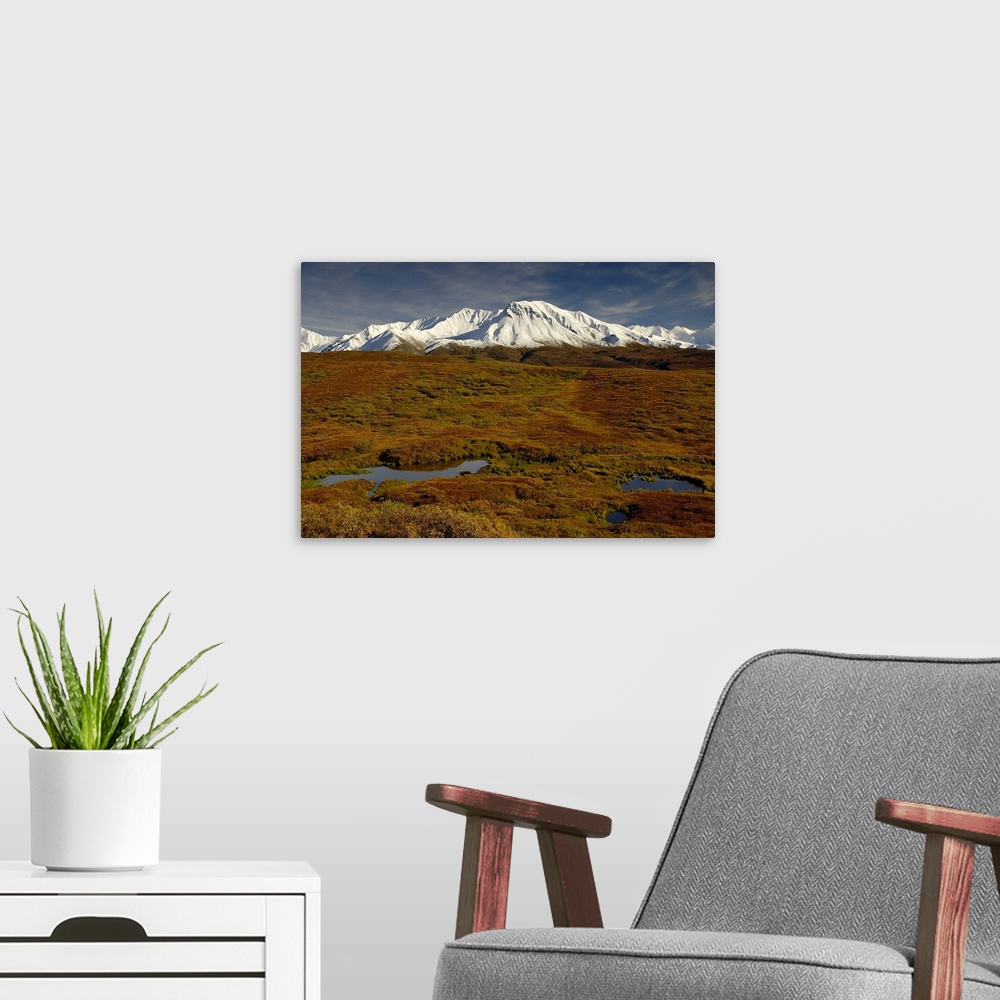 A modern room featuring Kettle ponds and tundra in fall foilage front snow-capped peaks in the Alaska Range.